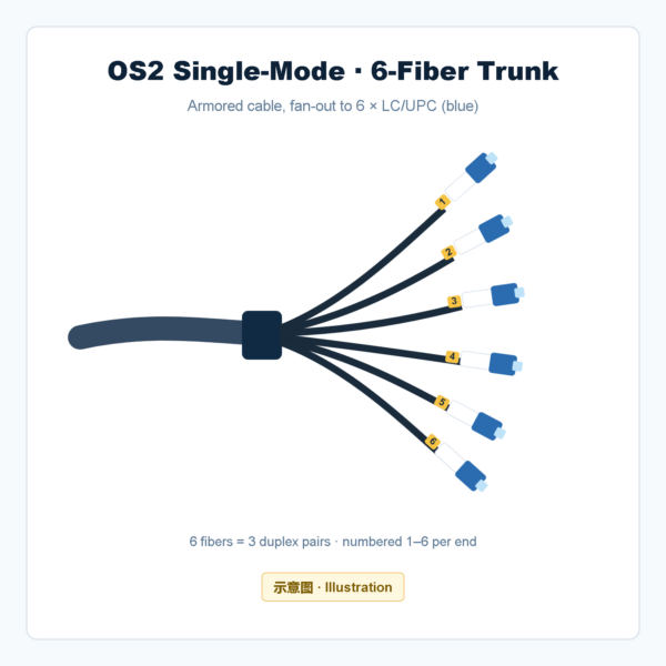 OS2 6-fiber fan-out trunk (schematic) OS2 6-fiber armored trunk schematic (illustration)